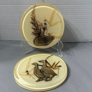 2 Vintage Acrylic Lucite Resin Round Trivets Coasters Pressed Flower Duck Geese